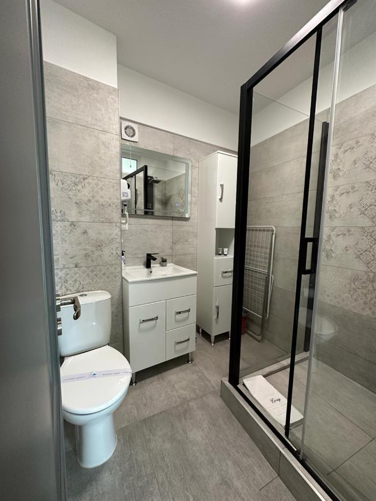 Cozy Studios In Suceava Buitenkant foto