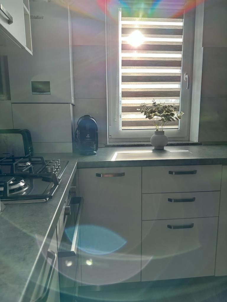 Cozy Studios In Suceava Buitenkant foto